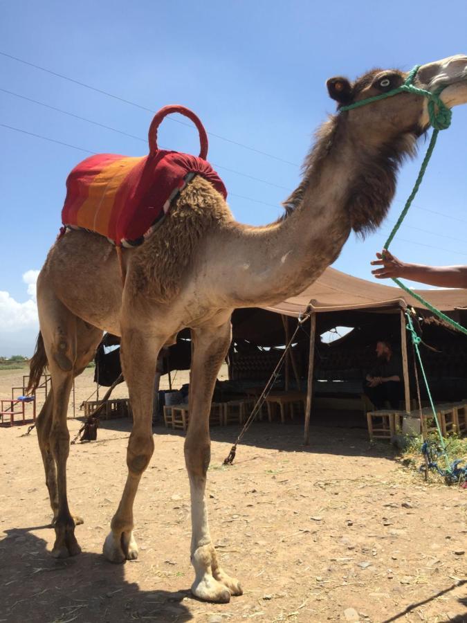 Riad Le Marrakech Berrima Marrakesh Bagian luar foto